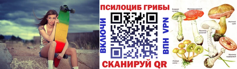 где купить наркоту  мега онион  Галлюциногенные грибы MAGIC MUSHROOMS  Называевск 